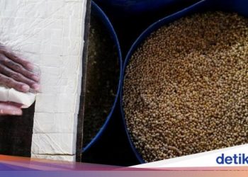 RI Jadi Produsen Tahu Tempe yang Kecanduan’ Impor Kedelai, Kok Bisa?