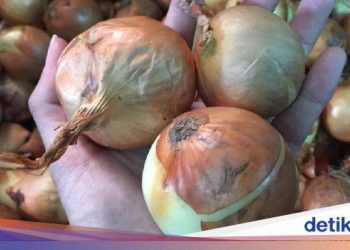 Tak Berani Pasok Bawang, Importir Minta Kepastian Pemerintah