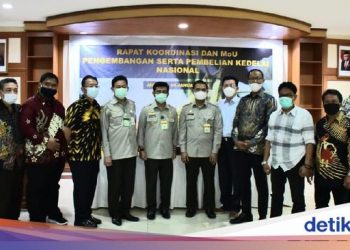 Tekan Impor, Kementan Pacu Produktivitas Kedelai Lokal