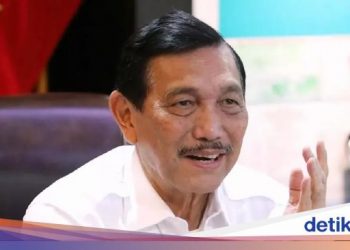 Ungkap Perkembangan Food Estate, Luhut: Sudah Ditanami Kentang dan Bawang