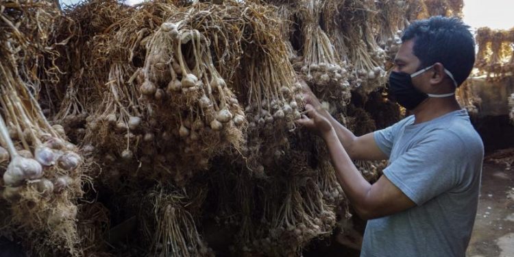 Kementan: Bawang Putih Butuh Tambahan Impor Mulai Maret
