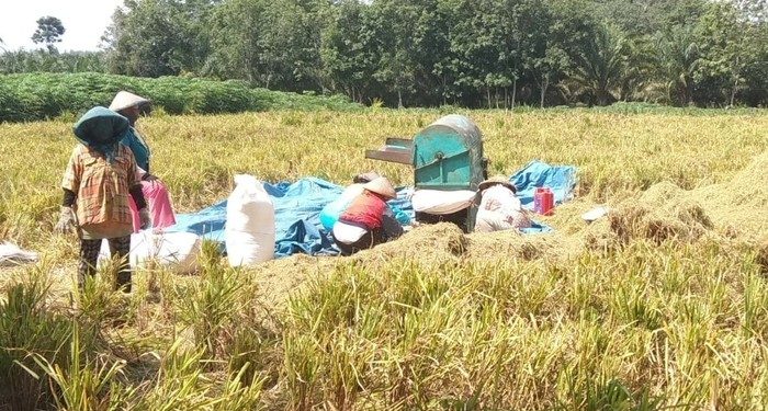 Akademisi UGM: Kita Harus Bentuk Karakter Konsumsi Pangan Lokal