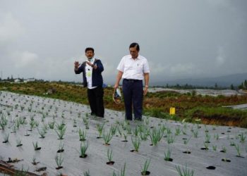 Bangun Ketahanan Pangan, BI Jabar Beri Bantuan Digital Farming ke Ponpes