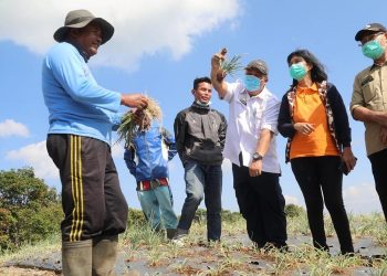 Akademisi UGM: Kita Harus Bentuk Karakter Konsumsi Pangan Lokal