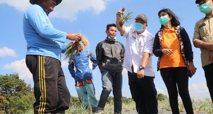 Akademisi UGM: Kita Harus Bentuk Karakter Konsumsi Pangan Lokal
