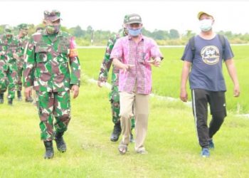 Dandim Lamongan Tinjau Ketahanan Pangan di Pucuk dan Mantub