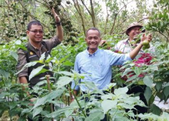 Desa Tangguh Dewata Tingkatkan Ketahanan Pangan