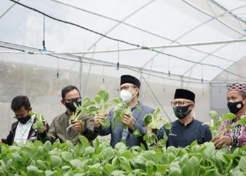 Bangun Ketahanan Pangan, BI Jabar Beri Bantuan Digital Farming ke Ponpes
