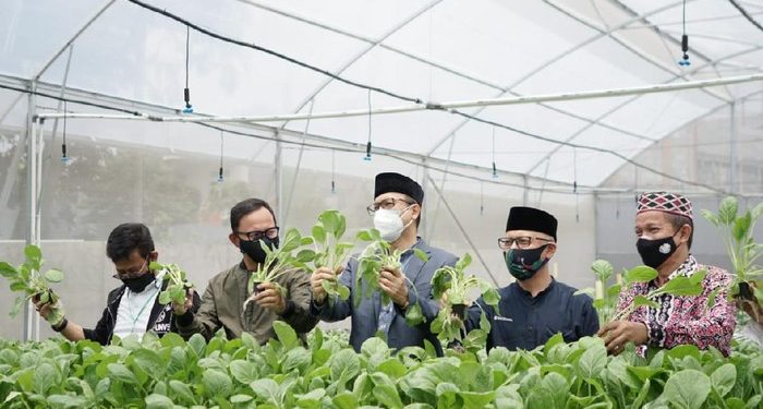 Bangun Ketahanan Pangan, BI Jabar Beri Bantuan Digital Farming ke Ponpes