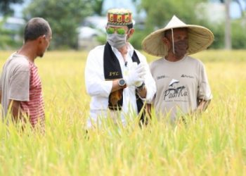 BPS : Sektor Pertanian Tumbuh Positif 2,59 Persen di Kuartal ke IV