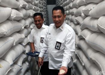Bulog Mau Produksi Beras Sendiri, Kualitas Premium Harga Medium