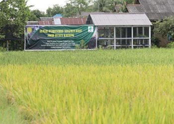 DPR Wanti-wanti Kementerian Impor, Mendag Langsung Buka Suara
