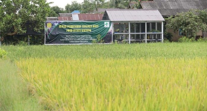 DPR Wanti-wanti Kementerian Impor, Mendag Langsung Buka Suara