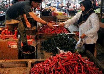 Food Estate Dorong Produktivitas Petani Humbang Hasundutan
