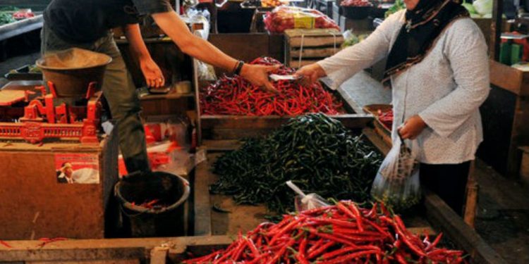 Food Estate Dorong Produktivitas Petani Humbang Hasundutan