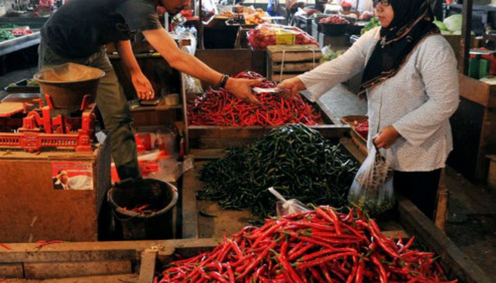 Food Estate Dorong Produktivitas Petani Humbang Hasundutan