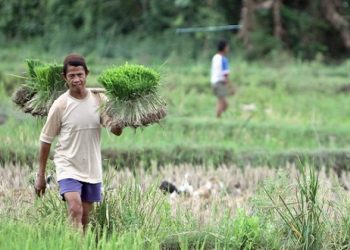 BPS Catat Ekspor Pertanian di Januari Naik 13,91%, Ini Kata Kementan