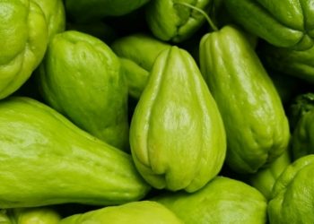 Kementan Dukung Pilot Project Closed-Loop Hasilkan Produk Hortikultura Berkualitas