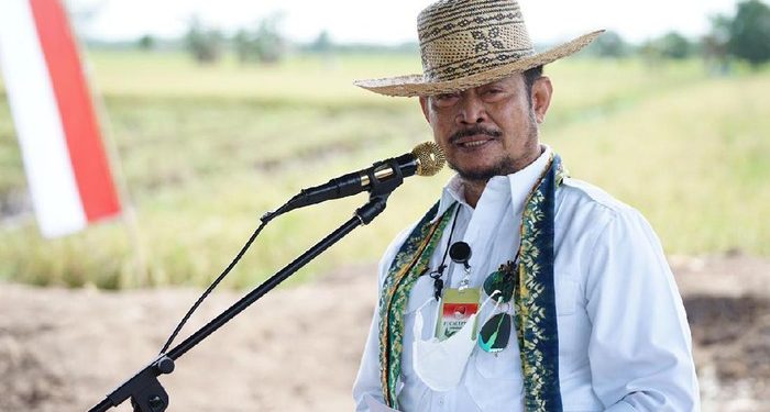 Mentan Bicara Kesiapan Pangan Jelang Ramadhan 2021, Stok Aman?