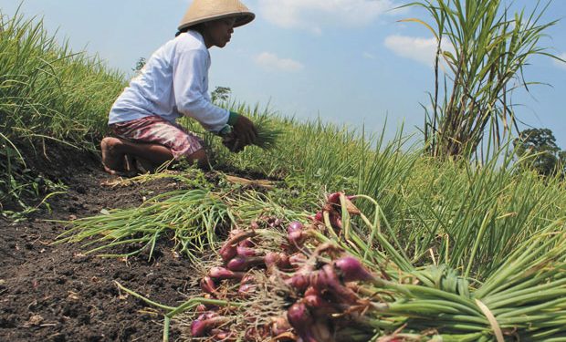 Mentan Bicara Kesiapan Pangan Jelang Ramadhan 2021, Stok Aman?