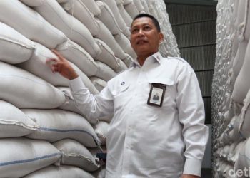 Pengusaha Tepis Tudingan Buwas Soal ‘Lingkaran Setan’ Bisnis Kedelai