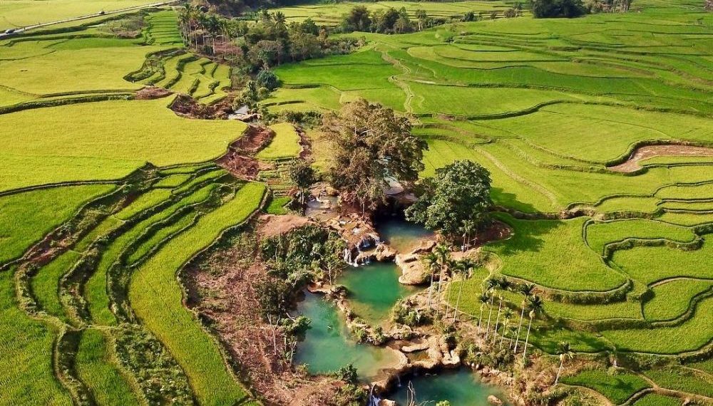 BPS Catat Ekspor Pertanian di Januari Naik 13,91%, Ini Kata Kementan