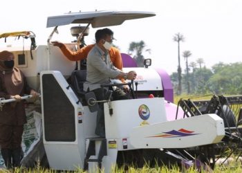 BPS Perkirakan Produksi Beras Nasional Tahun 2021 Naik 4,86%