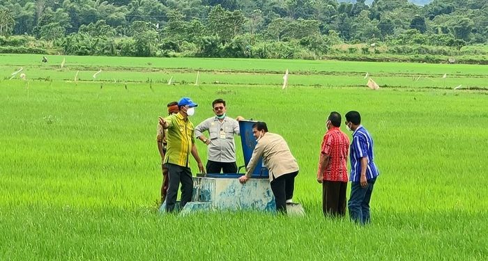 Bentuk Tim Pendamping Food Estate, Kementan: Kita Harus Fight