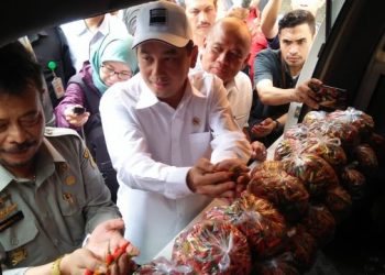 Dinas Pangan DKI siapkan gelar pangan murah cabai
