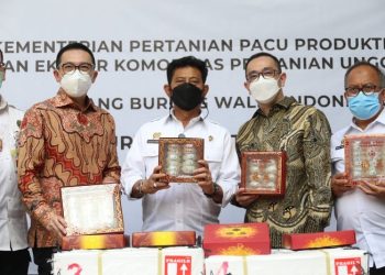 Jatim Ekspor 494 Kg Sarang Burung Walet Rp 9,9 M ke China