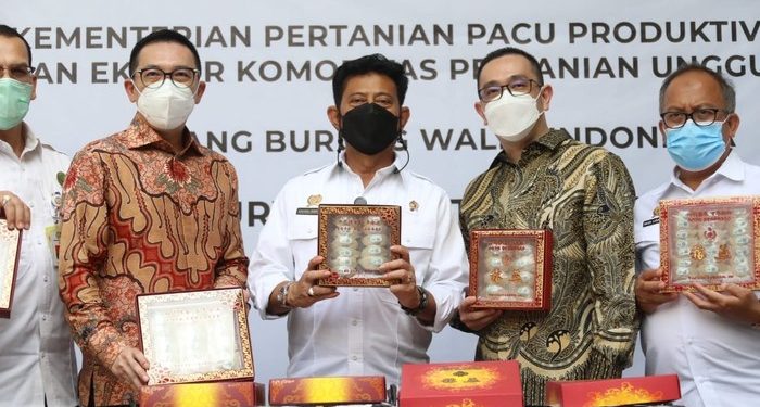 Jatim Ekspor 494 Kg Sarang Burung Walet Rp 9,9 M ke China