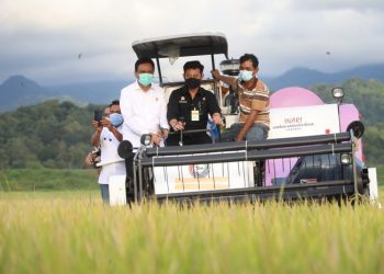 Mentan Cek Panen Padi di Barru, Sebut Stok Aman hingga Agustus