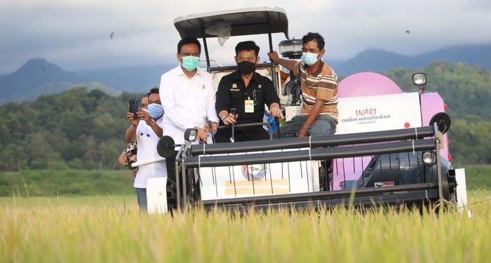 Mentan Cek Panen Padi di Barru, Sebut Stok Aman hingga Agustus