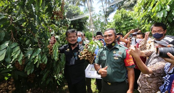Mentan: Kita Dorong Terus Kawasan Buah Lokal Bisa Dikembangkan