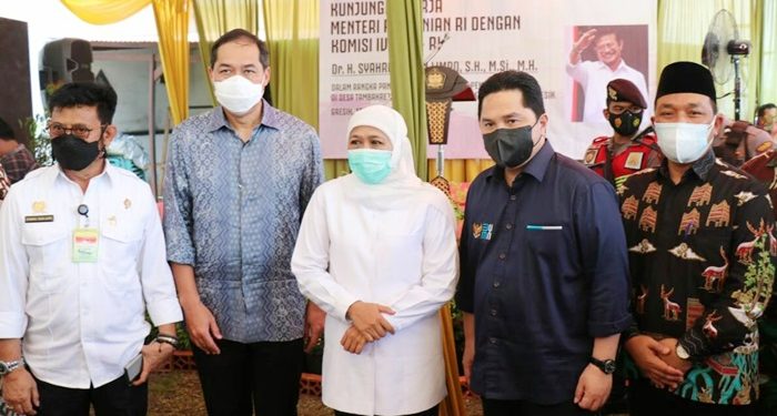Mentan, Mendag, Menteri BUMN Hadiri Panen Raya di Gresik