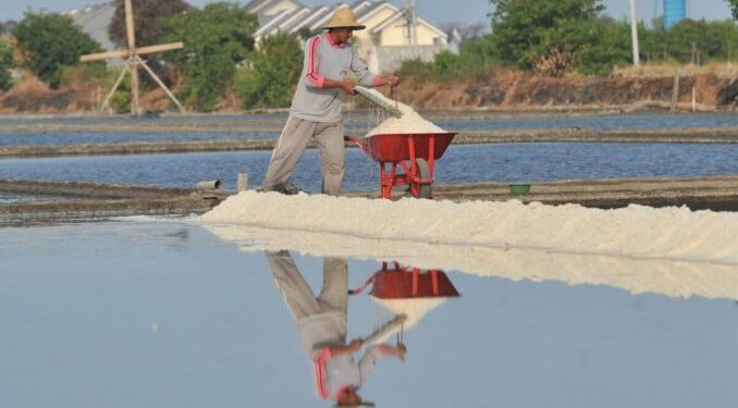 Petani Garam Kian Terpuruk