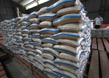 Soal Ekspor Beras, Kementan: Permintaan Luar Negeri Cukup Besar