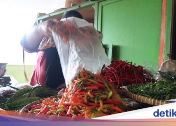 Guyur Cabai 195 Ton ke Pasar, Kementan Klaim Harga Turun Jadi Rp 60 Ribu/kg