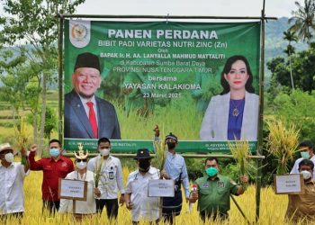 Ketua DPD Sebut Masalah RI Bukan Kekurangan Beras