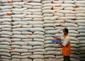 Mendag-Buwas Beda Suara soal Impor 1 Juta Ton Beras