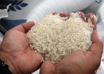 Ombudsman Endus Potensi Maladministrasi Kebijakan Impor Beras