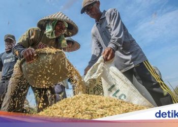 Produksi Beras Periode Januari-April Diprediksi Capai 14,54 Juta Ton
