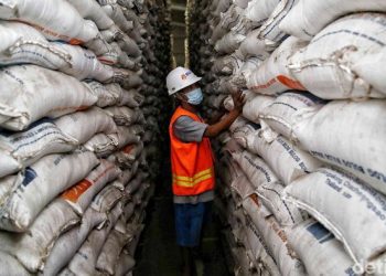 Sederet Masalah yang Bikin RI Ketagihan Impor Beras