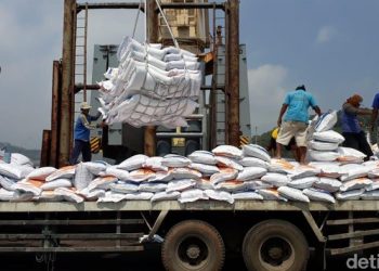 Seruan buat Pemerintah Jangan Impor Beras