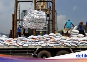 Stok Dinilai Cukup, Pemerintah Diminta Tidak Impor Beras