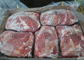 3 Alasan Bulog Tunda Impor Daging Kerbau India