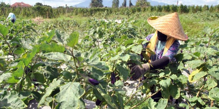 DPRD Bogor dorong pemulihan ekonomi lewat sektor pertanian