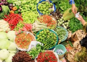 Jelang lebaran, Kementan jaga strategi produksi & distribusi pangan