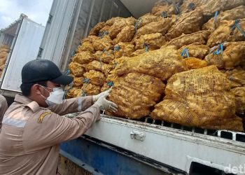 Kisah Pilu Anak Petani Jahe, Orang Tua Rugi-Berutang Gegara Impor