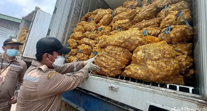 Kisah Pilu Anak Petani Jahe, Orang Tua Rugi-Berutang Gegara Impor